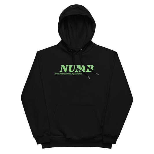 Premium eco hoodie